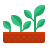 icons8-growing-plant-48